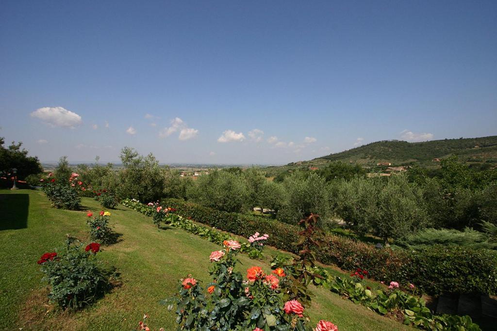 Agriturismo Cortoreggio Cortona Luaran gambar