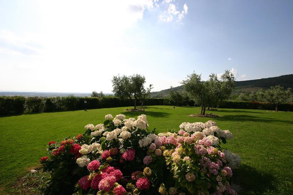 Agriturismo Cortoreggio Cortona Luaran gambar