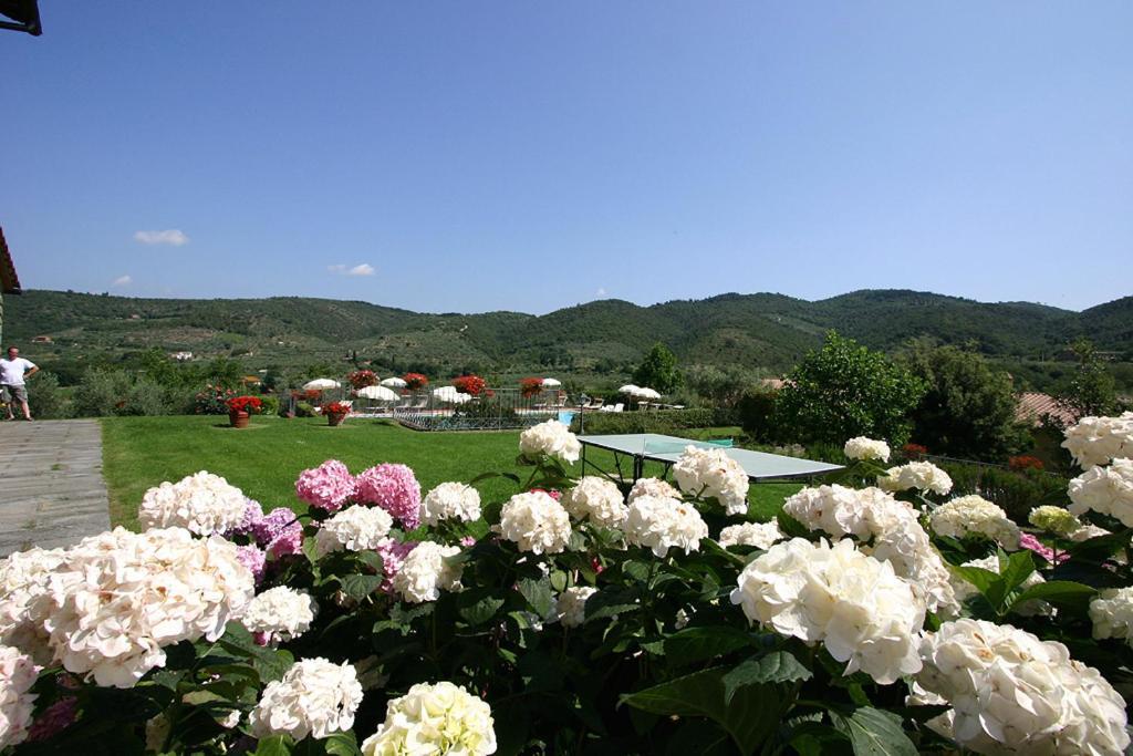 Agriturismo Cortoreggio Cortona Luaran gambar